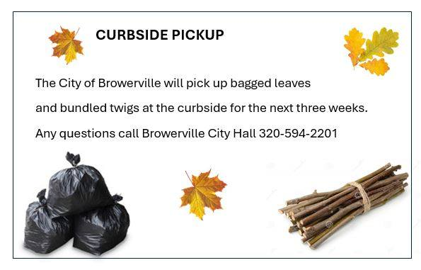 Bagged leaves and bundled twigs